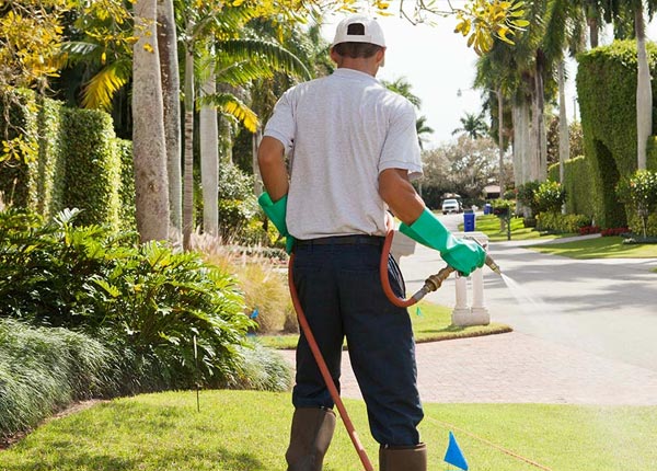 About Nahma MI Pest Control